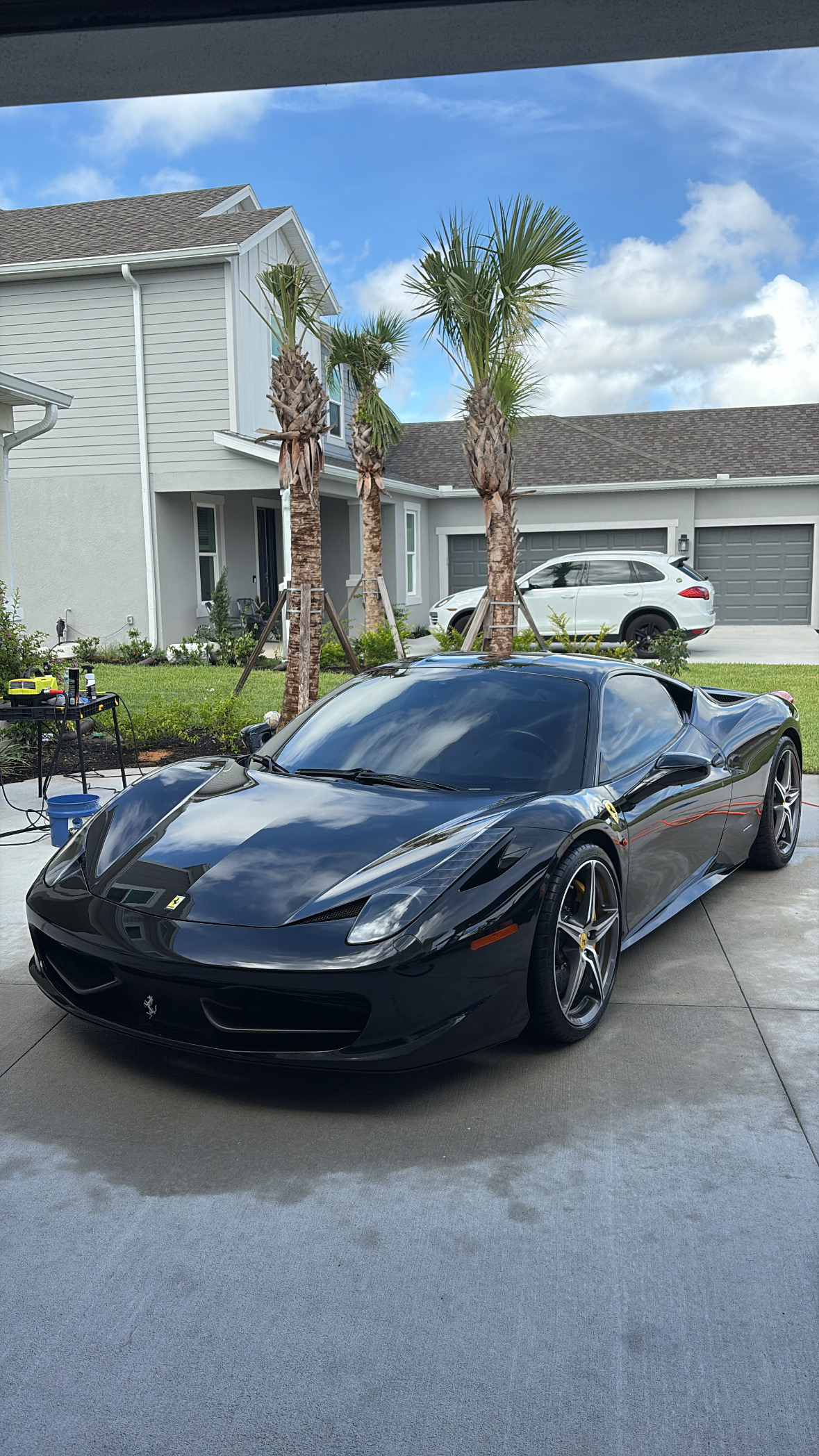 Paint Correction and Polishing